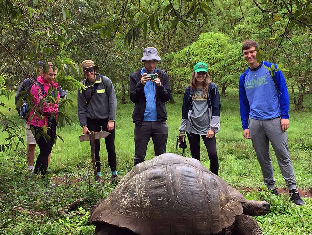 Students observe tortoise on the Galapagos Island field trip